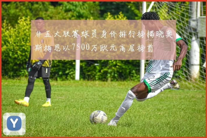 非五大联赛球员身价排行榜揭晓奥斯梅恩以7500万欧元高居榜首