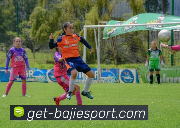 八戒体育发展历程