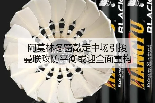 阿莫林冬窗敲定中场引援 曼联攻防平衡或迎全面重构 - BAJIESPORTS