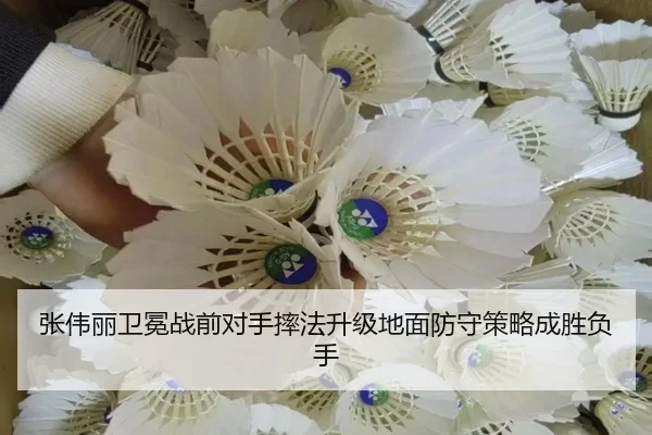 张伟丽卫冕战前对手摔法升级地面防守策略成胜负手 - BAJIESPORTS